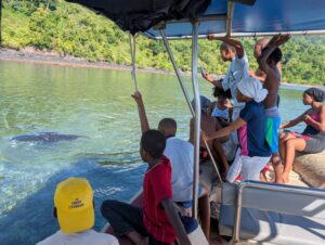 Ceta’Maore, lagon, enfants, collégiens, non-scolarisation, découverte, mammifères marins, bateaux, ambassadeurs lagons, Mayotte