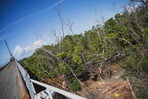 Ironi Bé, chantier, usine dessalement, Colas, eau, associations environnementales, préfecture, LEMA, Mayotte