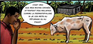 Mayotte, BD, Cirad, EDAME, réseau RITA Mayotte, agriculture, élevage,