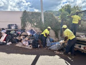 Mayotte, CADEMA, déchets, dépôts sauvages,