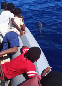 Ceta’Maore, lagon, enfants, collégiens, non-scolarisation, découverte, mammifères marins, bateaux, ambassadeurs lagons, Mayotte