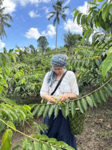 Mayotte, Jardin Imany, ylang,