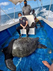 Dieuveut Ahadi, Les Naturalistes de Mayotte, tortues, marines, bivouac, sauvetage, REMMAT