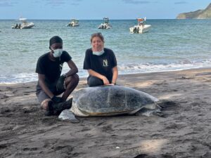 Dieuveut Ahadi, Les Naturalistes de Mayotte, tortues, marines, bivouac, sauvetage, REMMAT