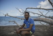 Chez les Naturalistes, un jeune de Vahibé trouve sa place auprès des tortues