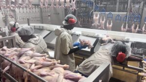 Mon Pouleti, Mayotte, AVM, Grand cadi, halal