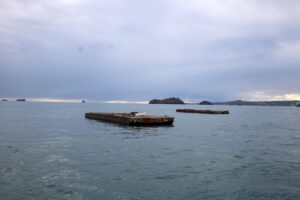 Mayotte, prestataire nautique, port de plaisance, port,