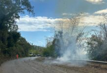 Incendie : une reprise de feu à Barakani Mayotte, feu, incendie, Barakani,