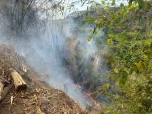 Mayotte, feu, incendie, Barakani,